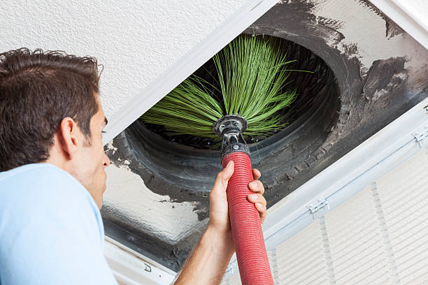 Air Duct Mold Removal in Reedsville, WI